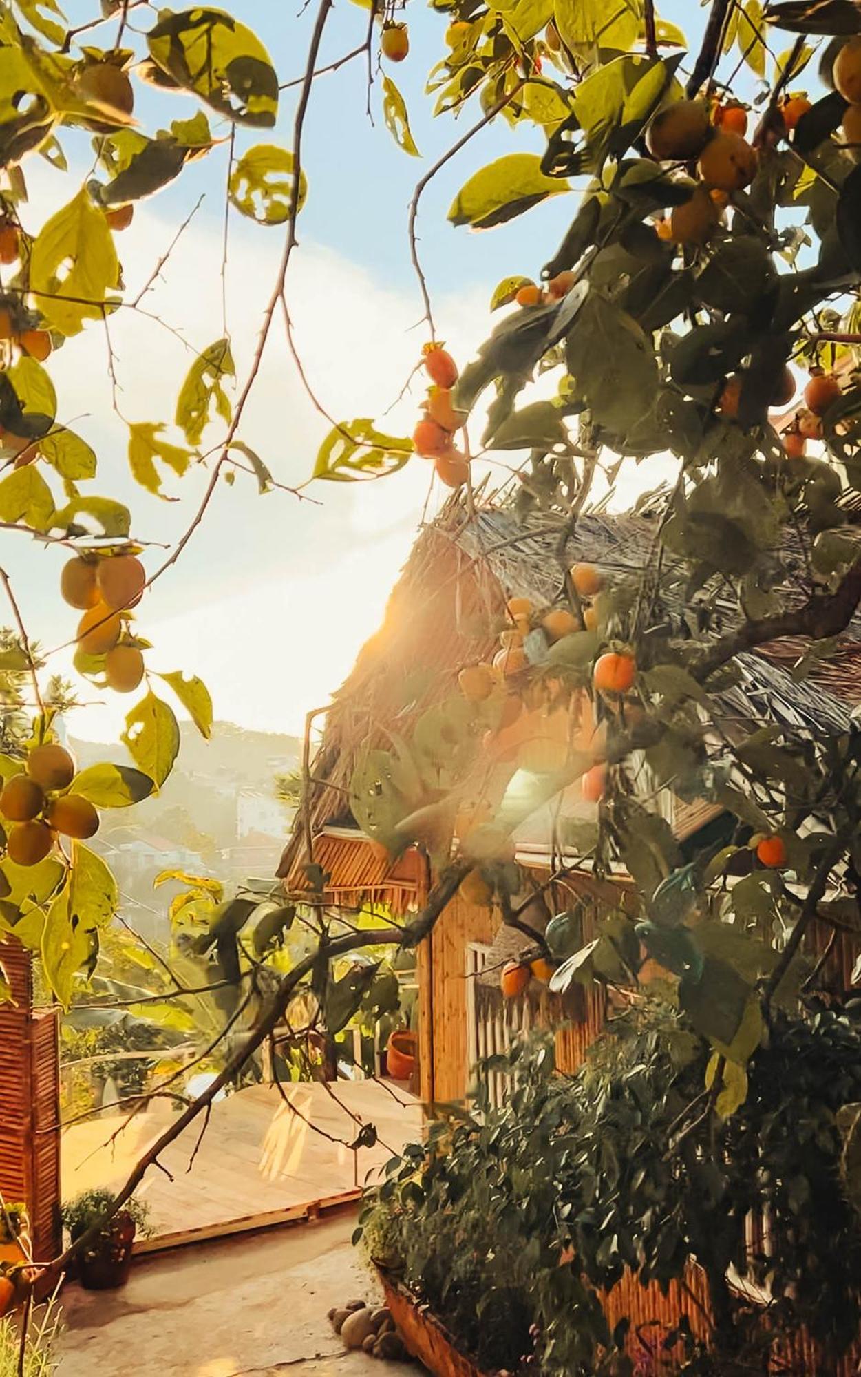 Nay Bungalow Dalat Εξωτερικό φωτογραφία